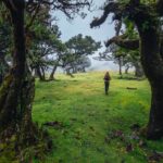 Hiking Madeira